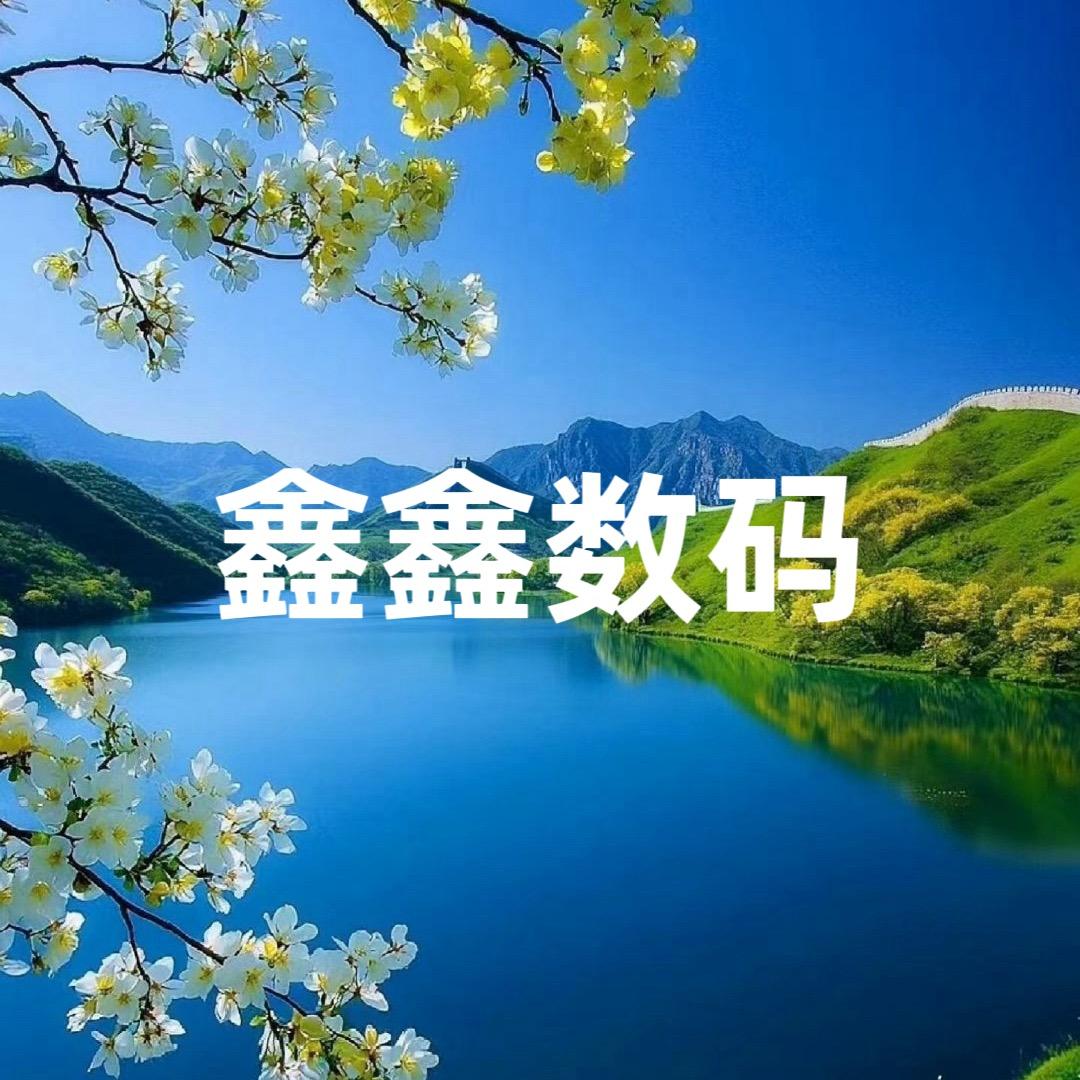 鑫鑫数码