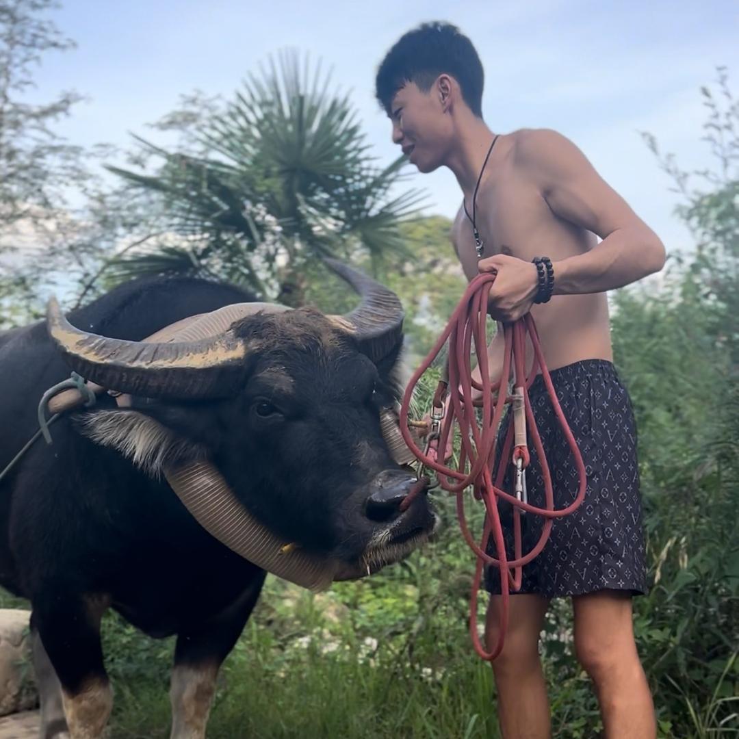 赵司🇨🇳小龙