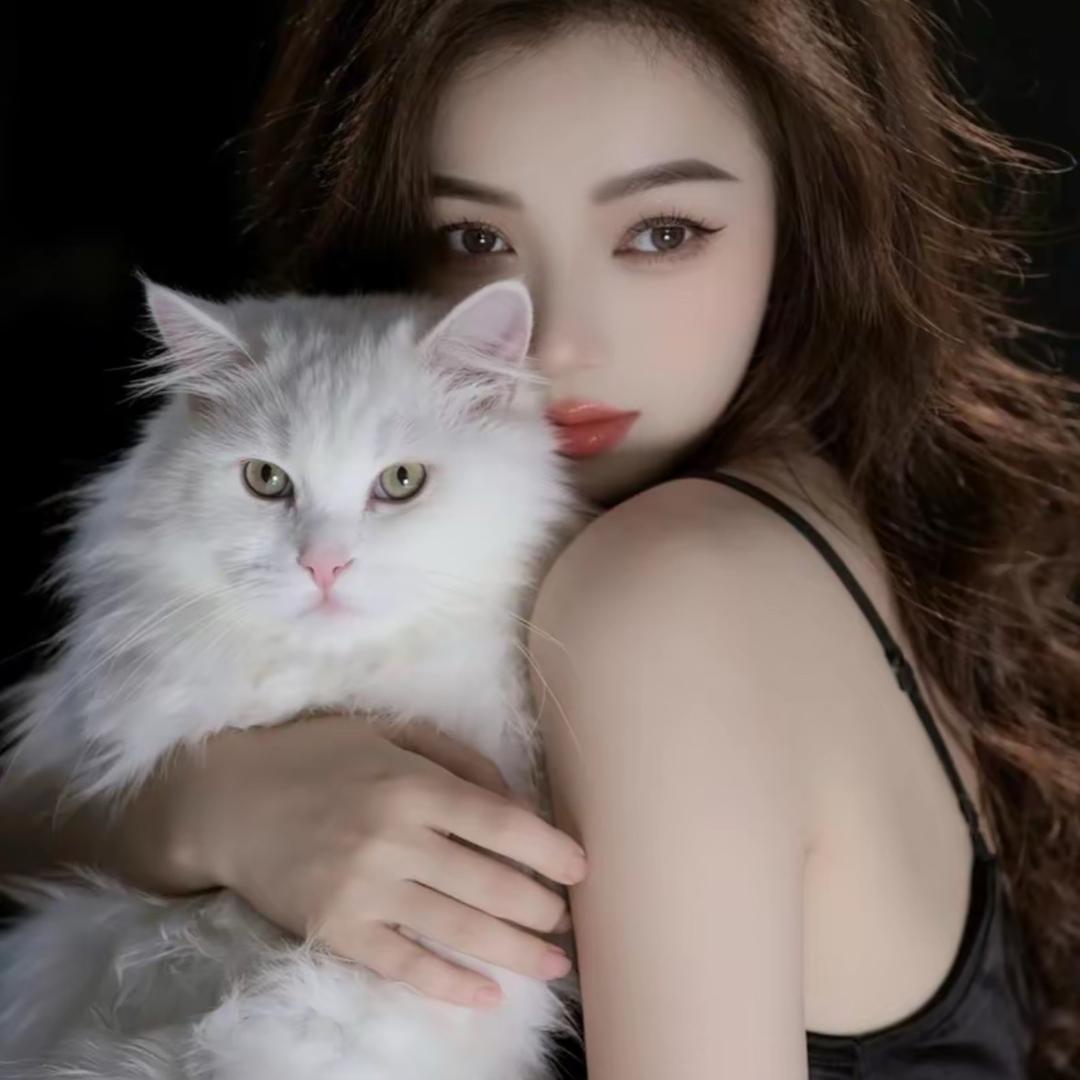 多 肉