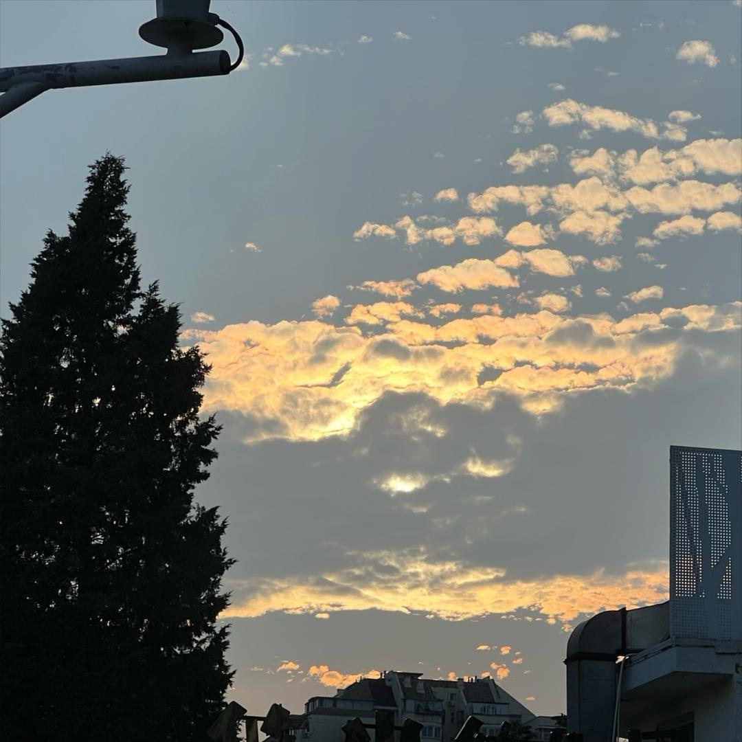 好难瘦