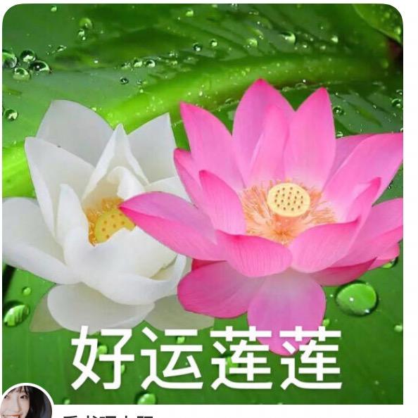英