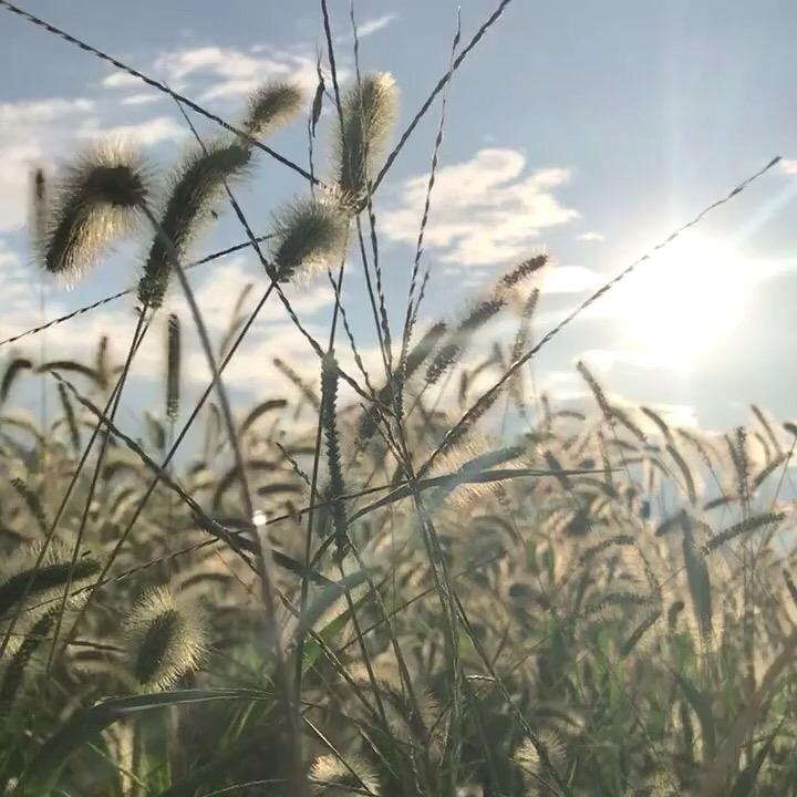 單月'