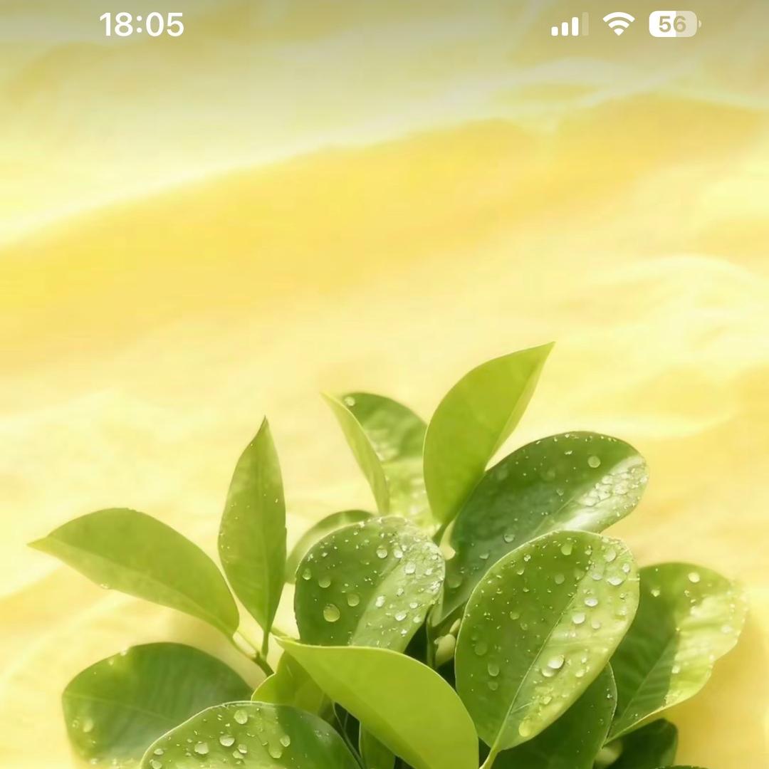 闪闪吖的进哥滋补养生