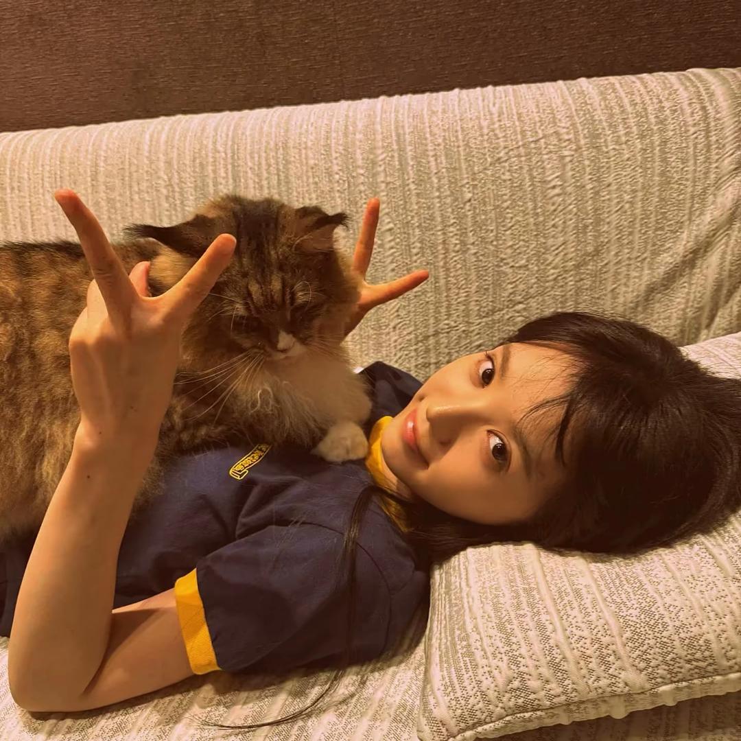 ㅤㅤㅤㅤㅤㅤ