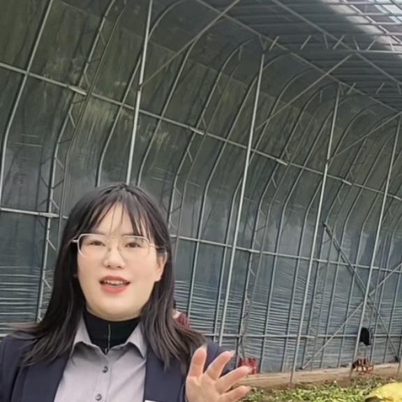西安吉屋房产营销策划有限公司
