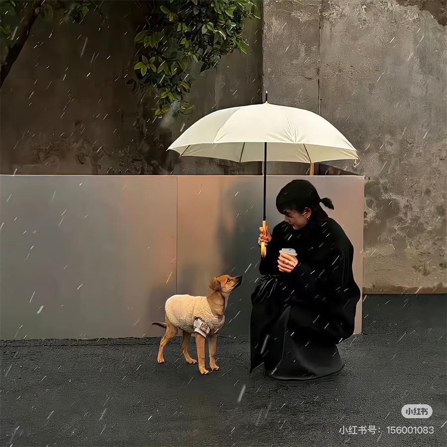 小西米