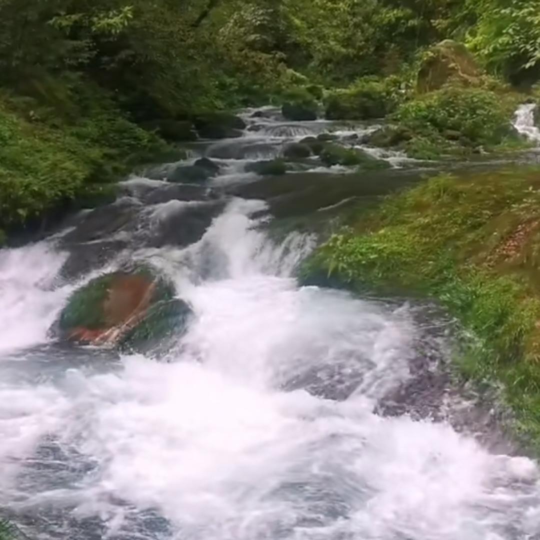 林间清泉