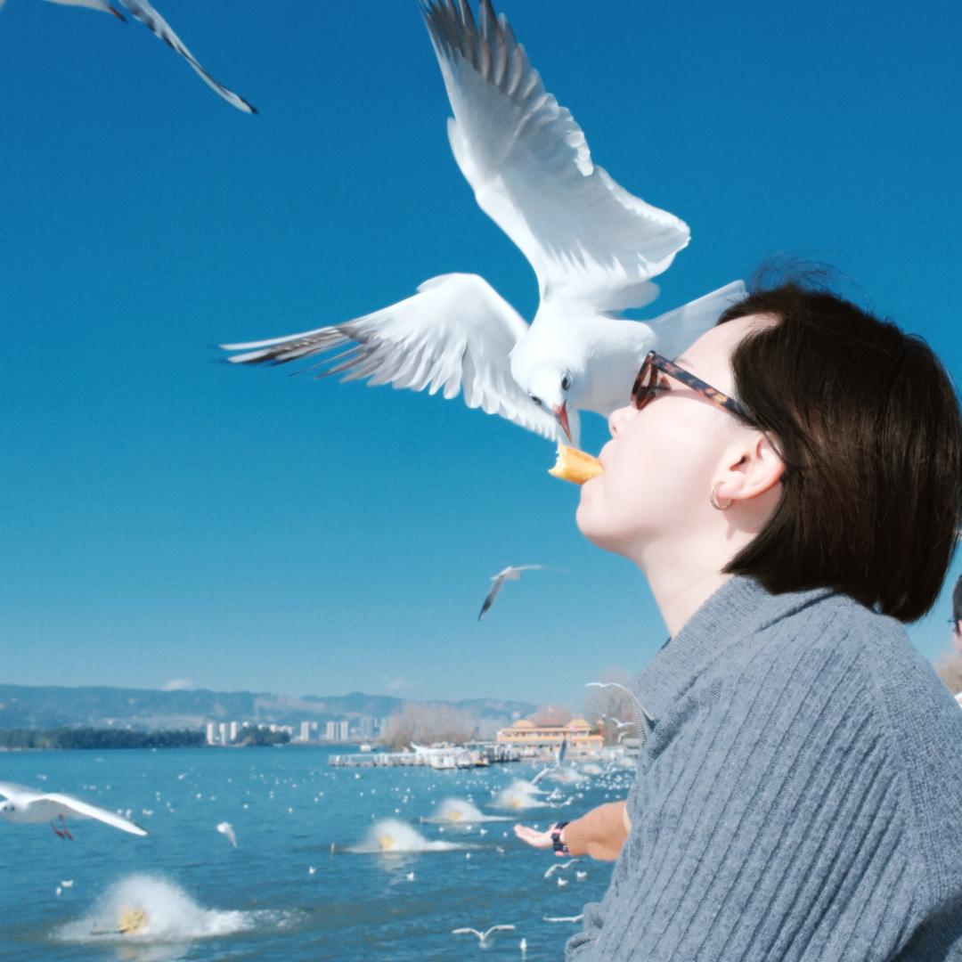 🎀木子—李🎀