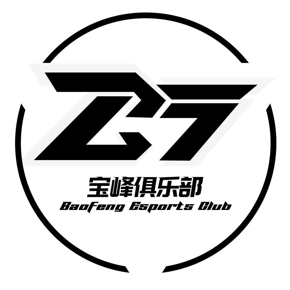 宝峰电竞（招三角洲PC高玩）