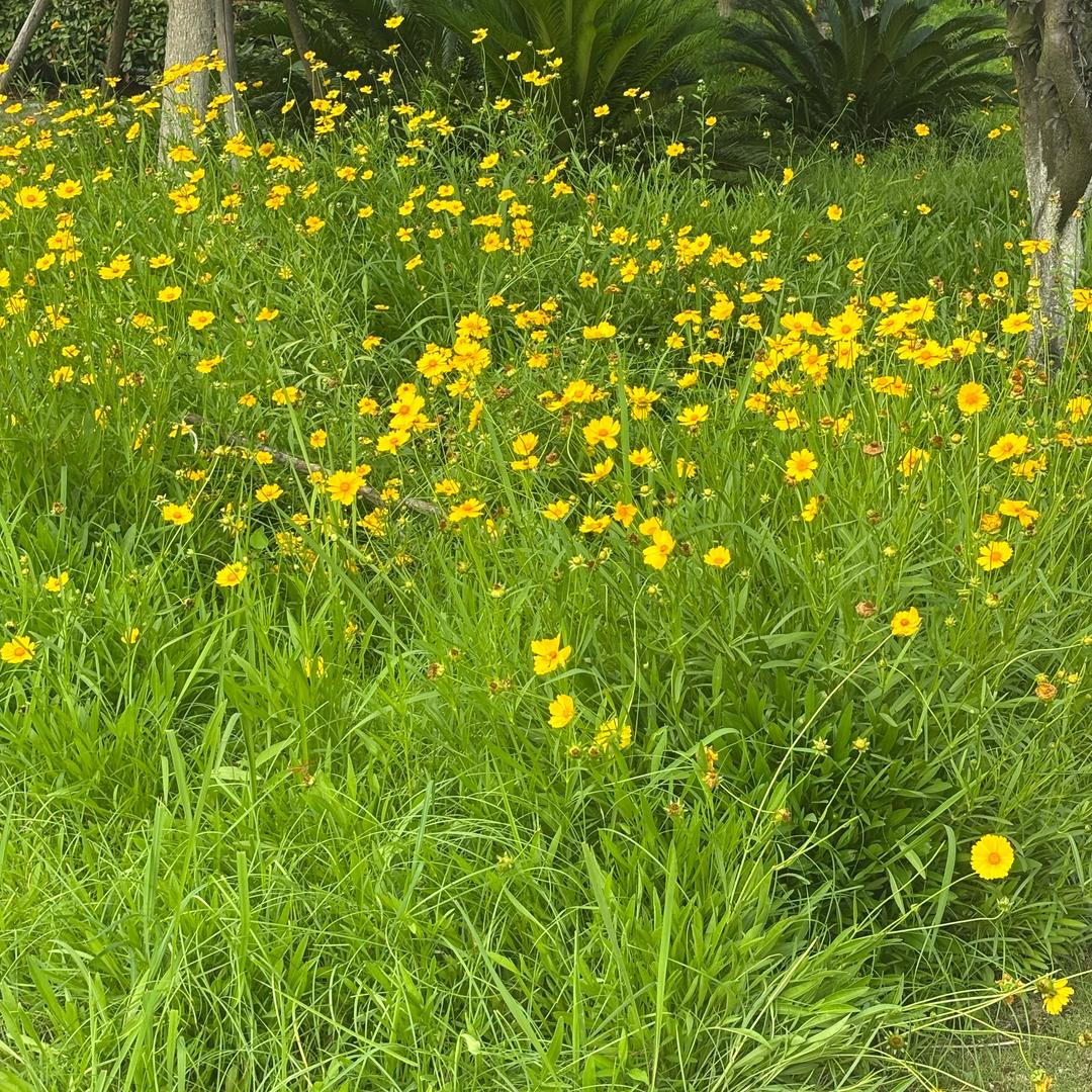 暖暖↓的拥抱。