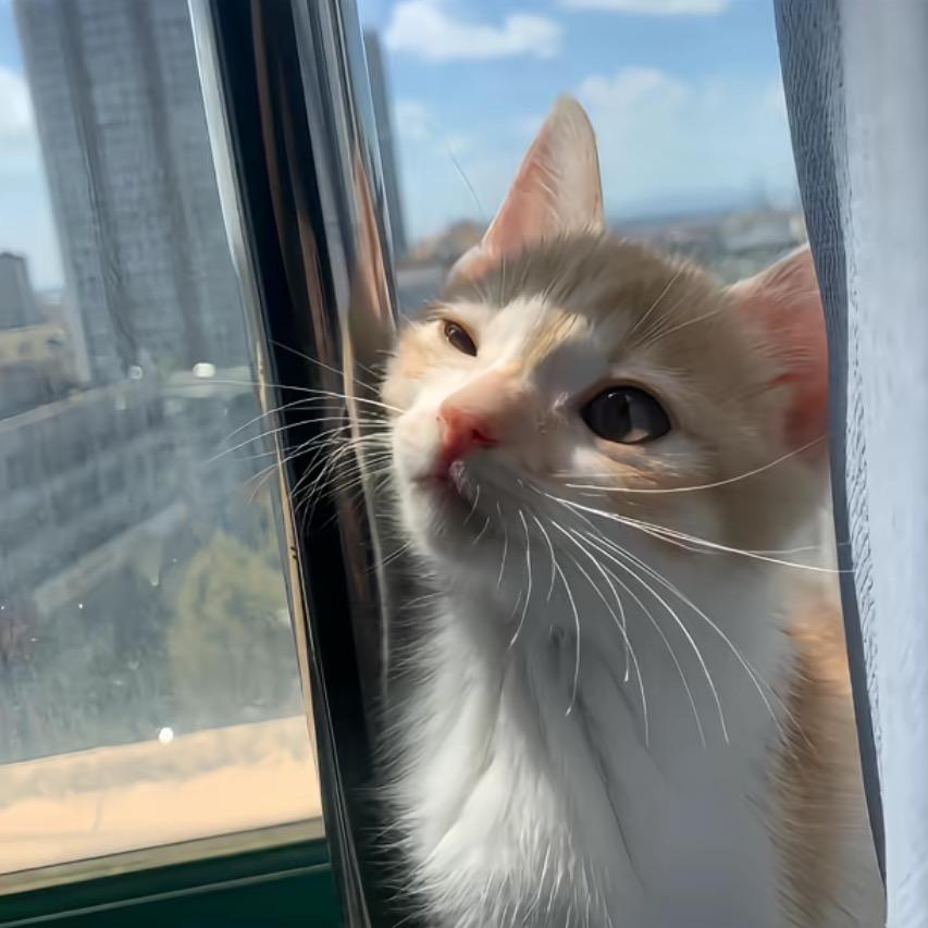 想要睡到自然醒