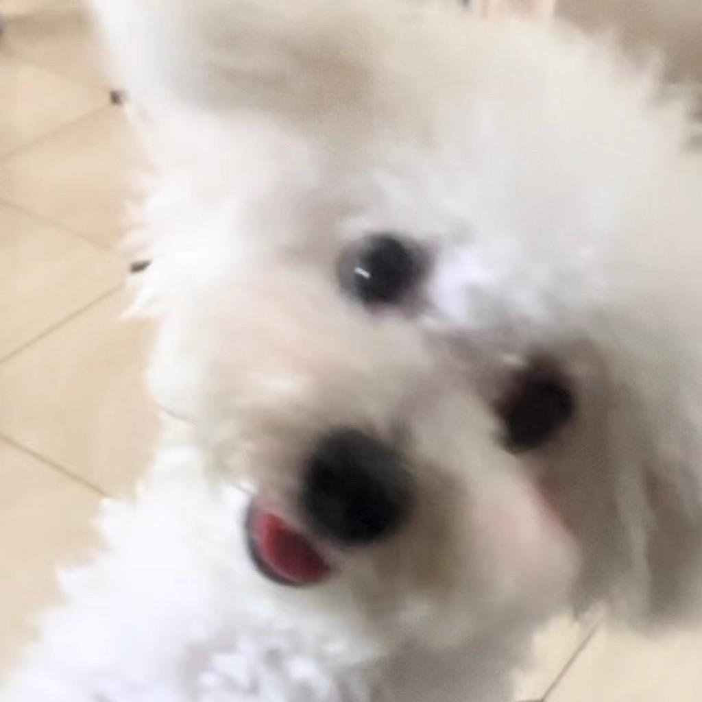 哈基宇