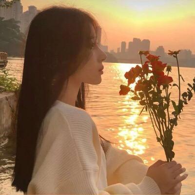 洋阳玖贝壳