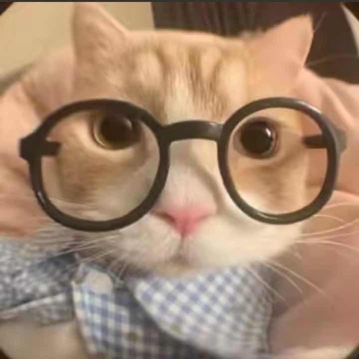 做个好梦