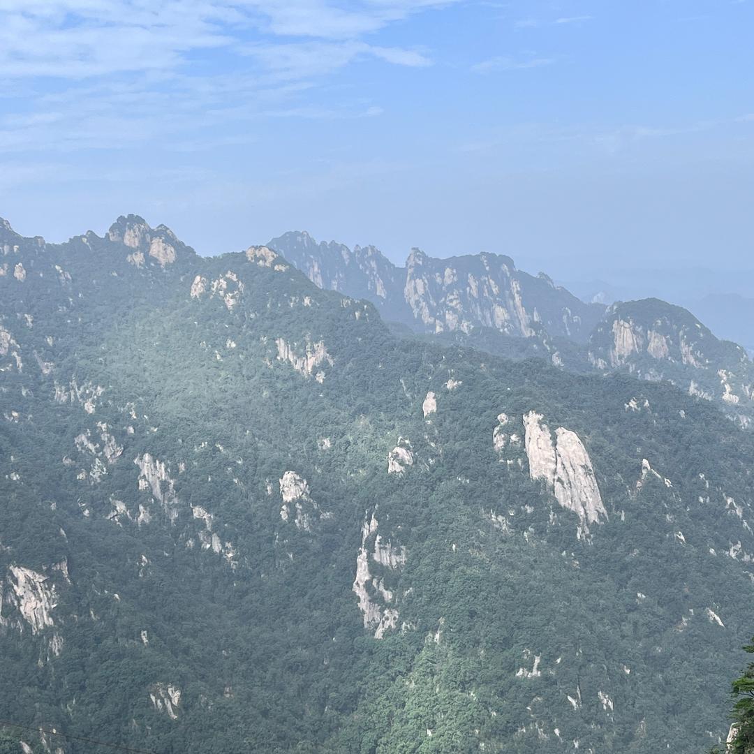 大自然地板(桐柏店)专用号