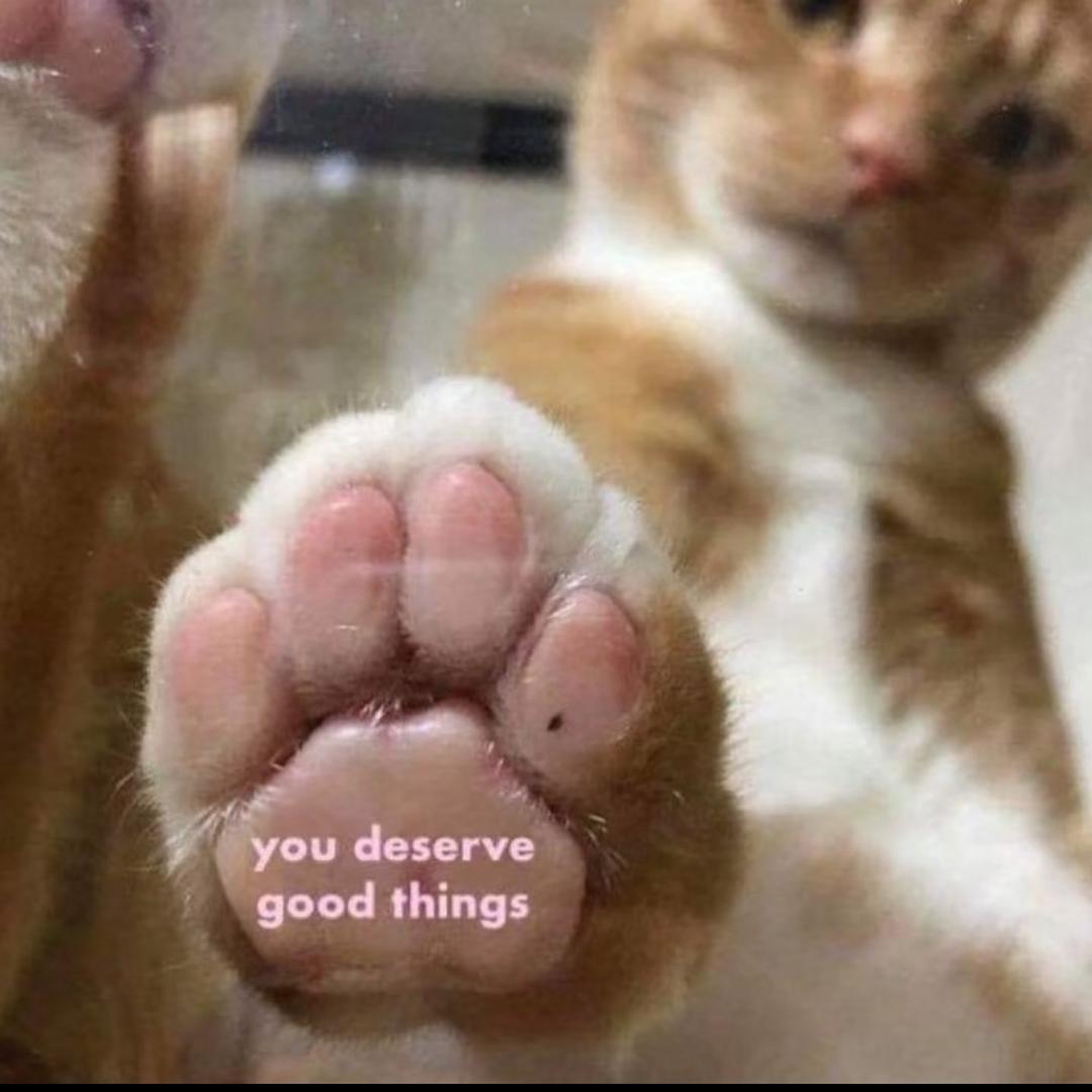 Yyy