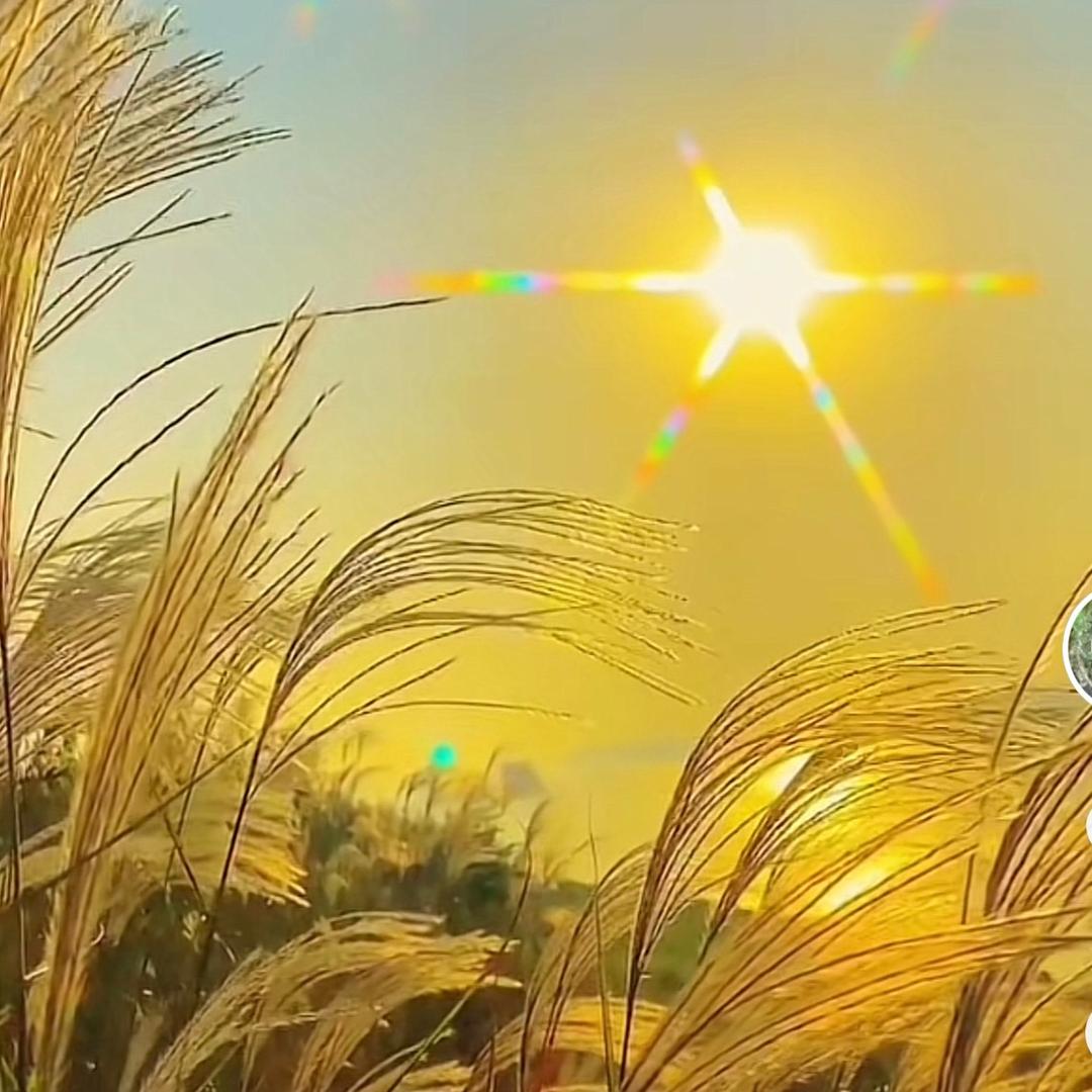 水景云天王淇萱