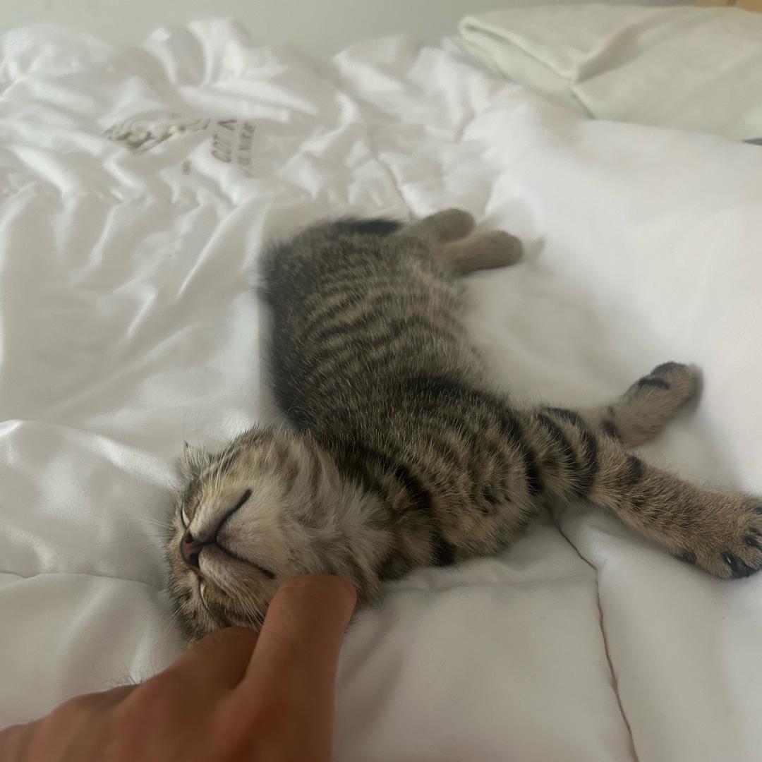 修理工