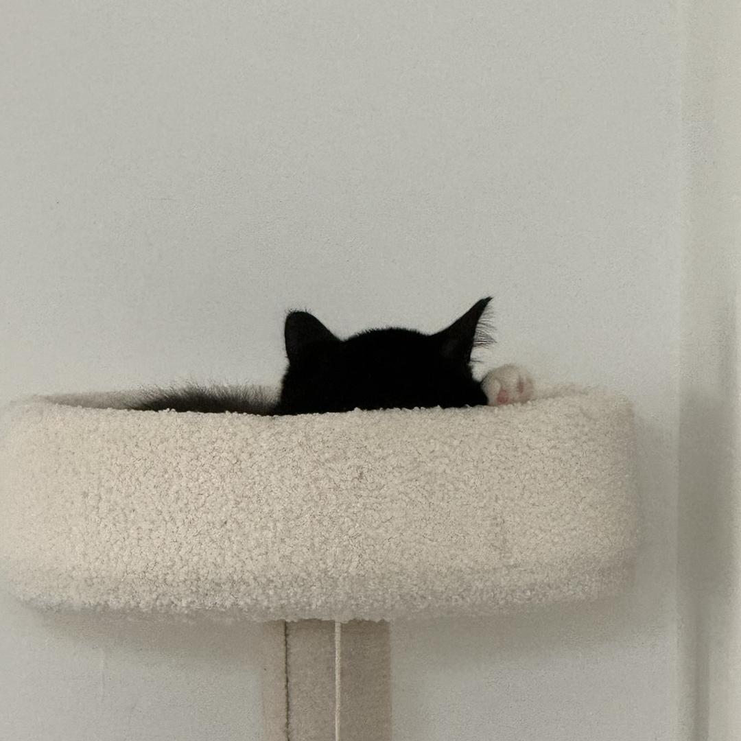 5789