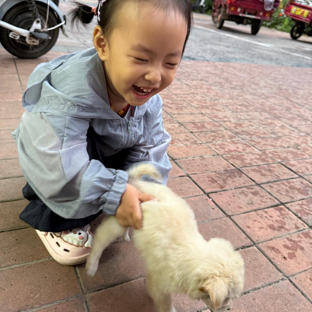 🌈这家伙很美🌈