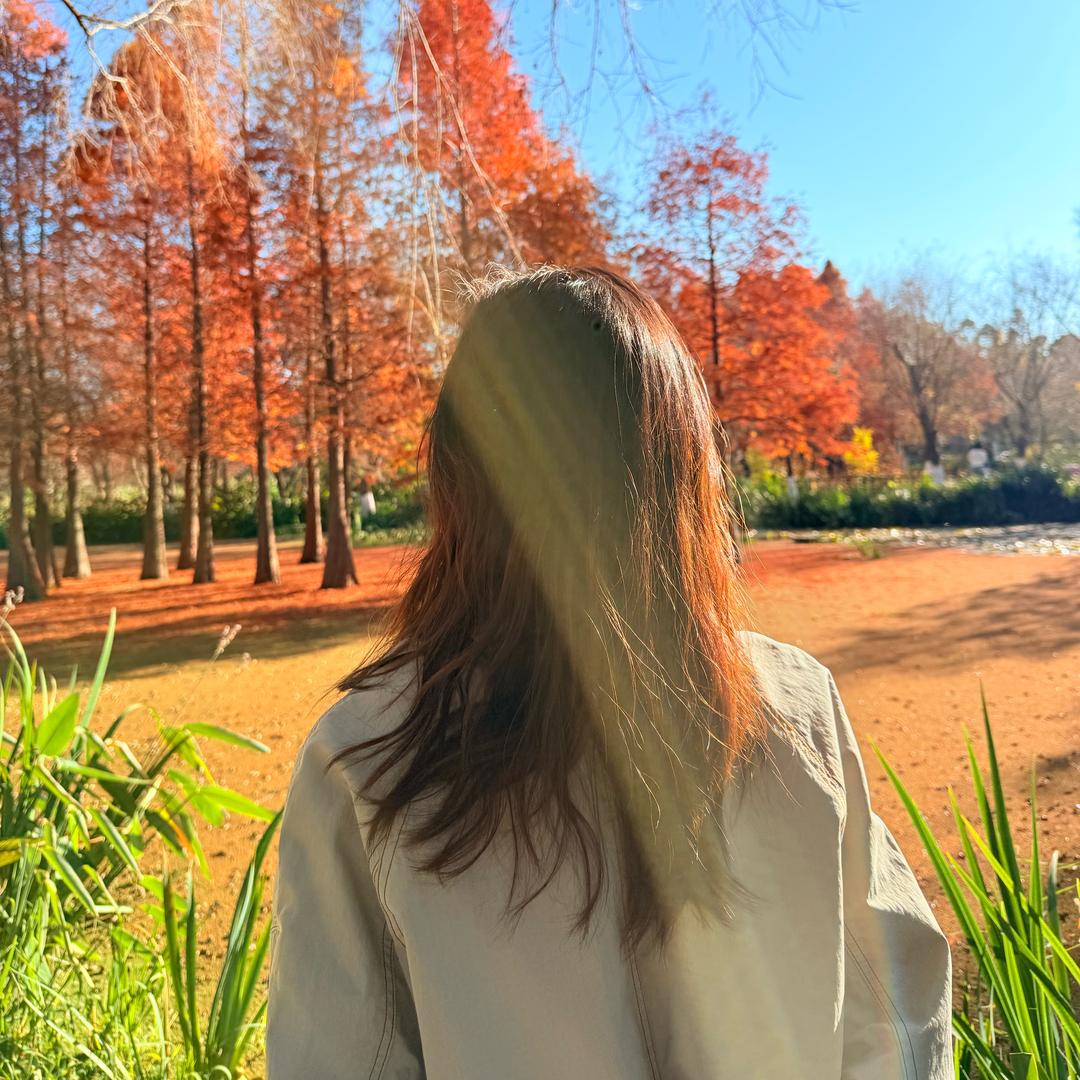 升学规划-李老师