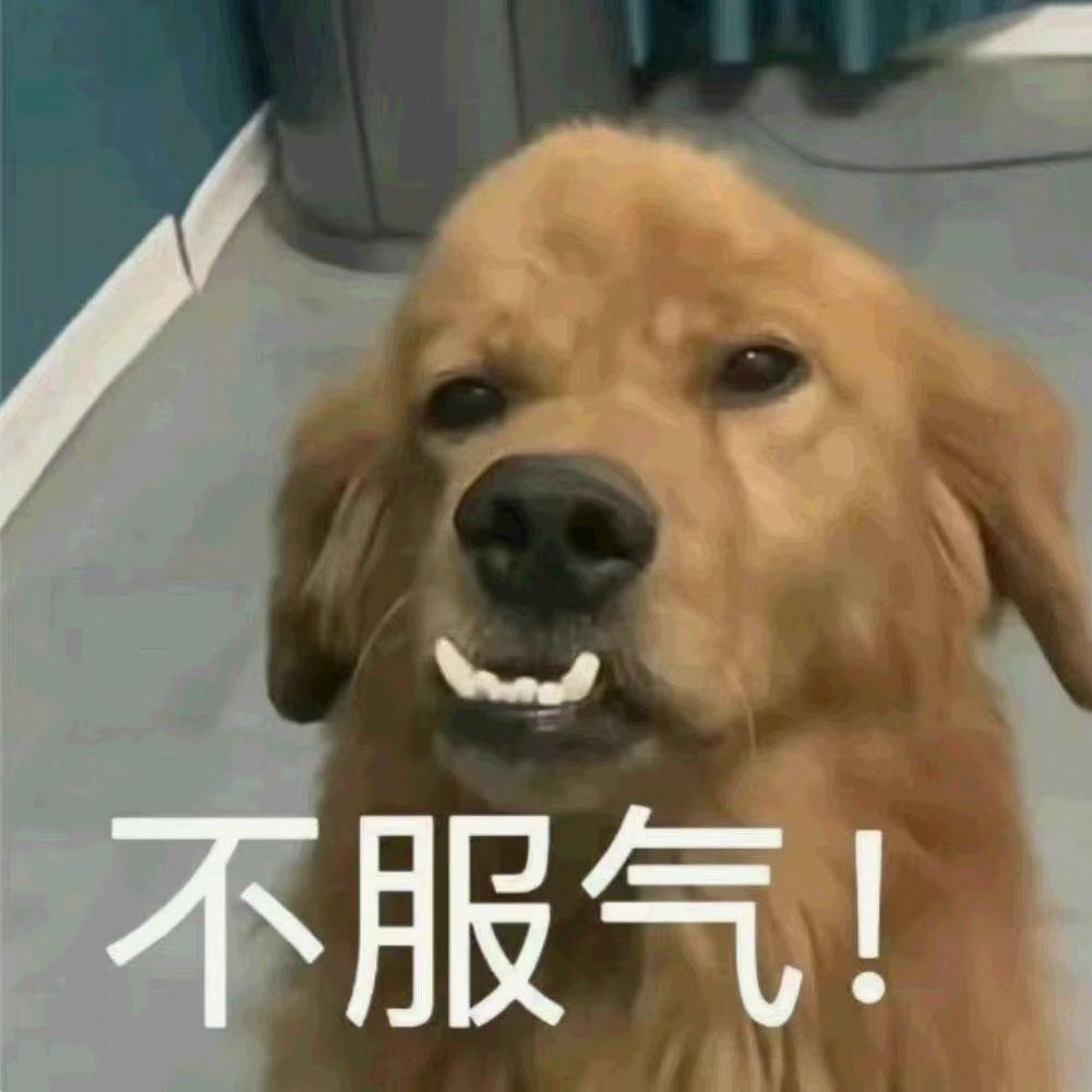 山东小土豆🥔