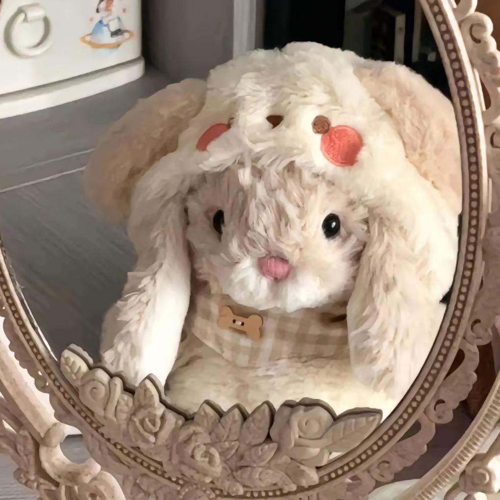 羚羊陪拍（放假版）