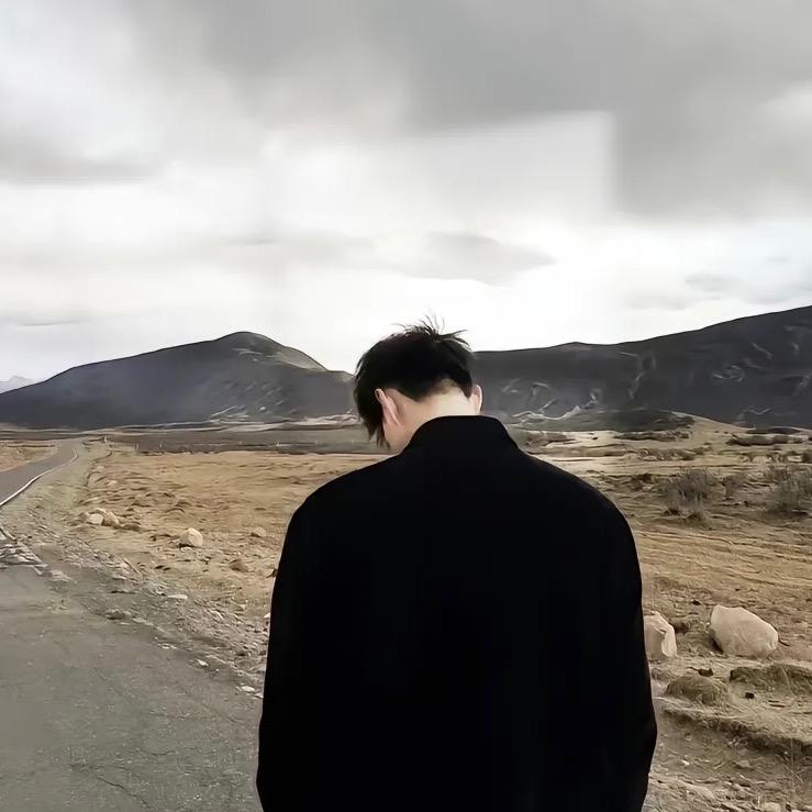 什么飞.