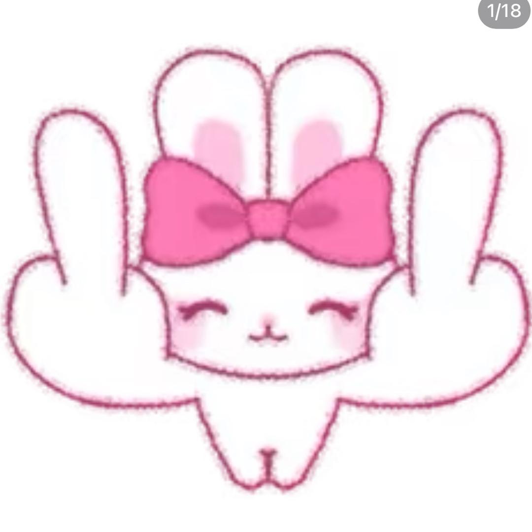 露比兔🐰