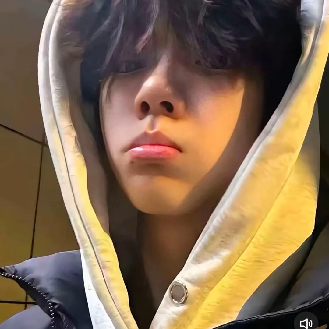 带弹棉花睡大街