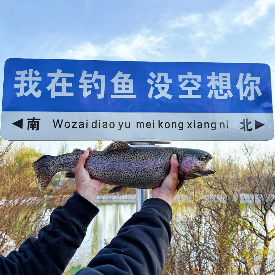宝藏好物百货