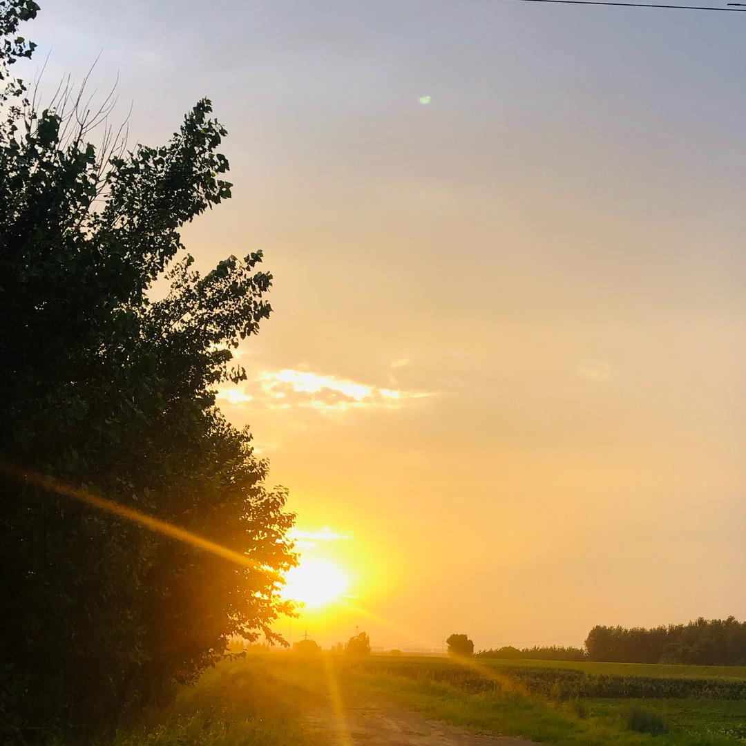 ☘️☘️无言以对