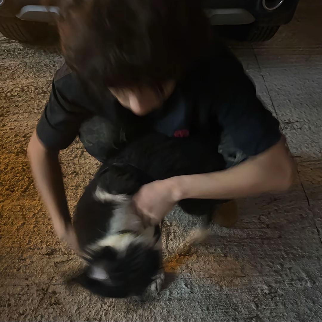 泪水打湿AWP你却不懂我的好