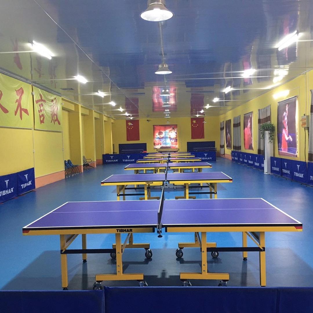 滕州英杰乒乓球