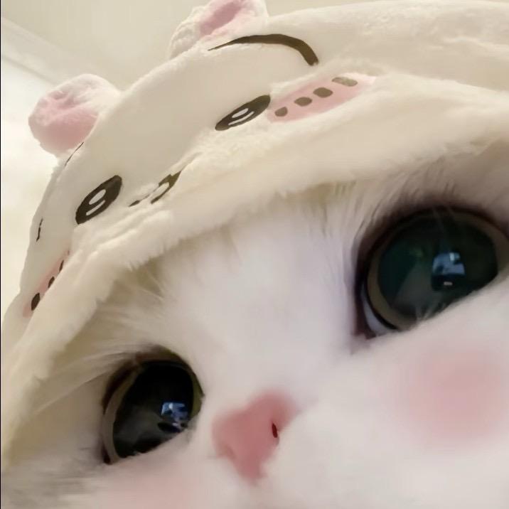 重生之我成为了光遇中的小金人
