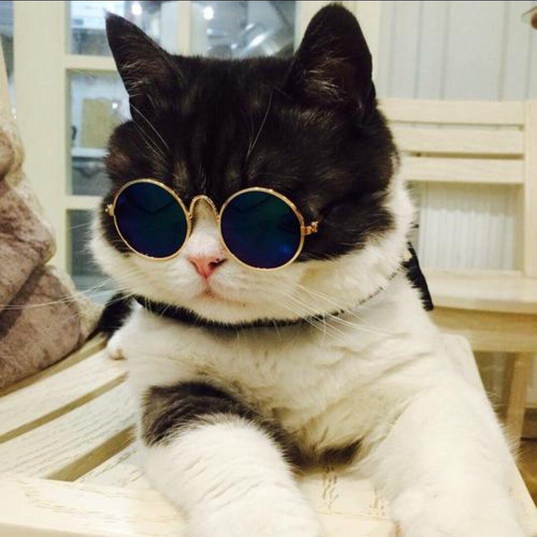 𝓒𝓸𝓬𝓪𝓒𝓸𝓵𝓪°