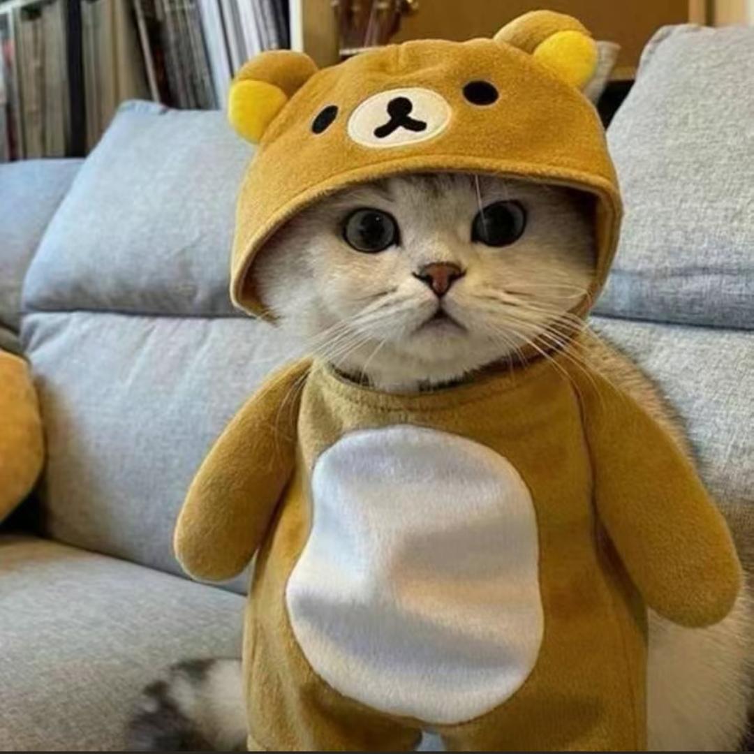 晨哥....