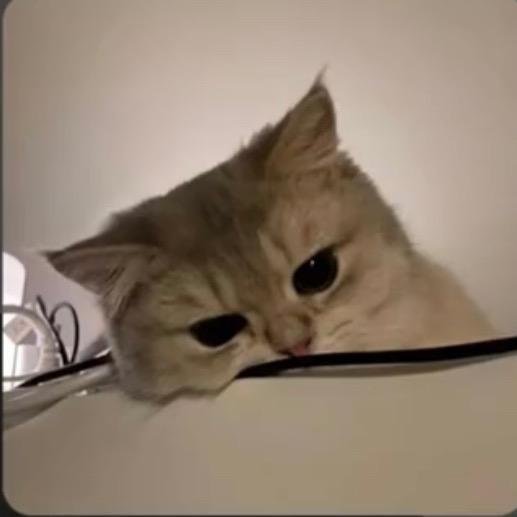贰拾-