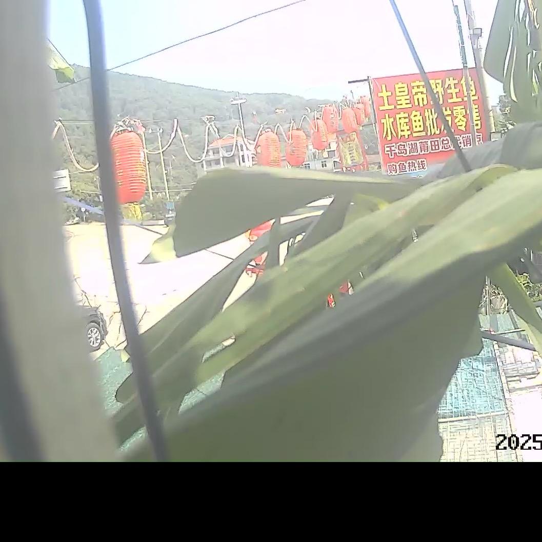 黑人