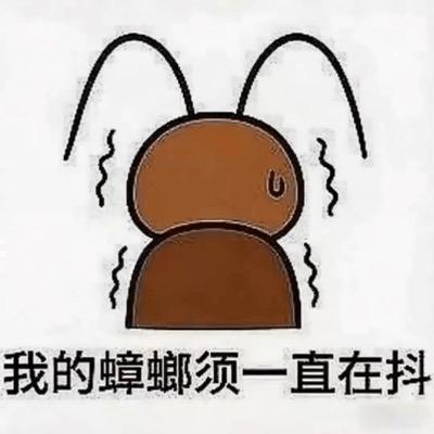 用户qsxfthnko