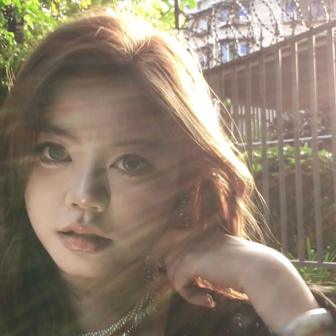 捡垃圾董事长Cy