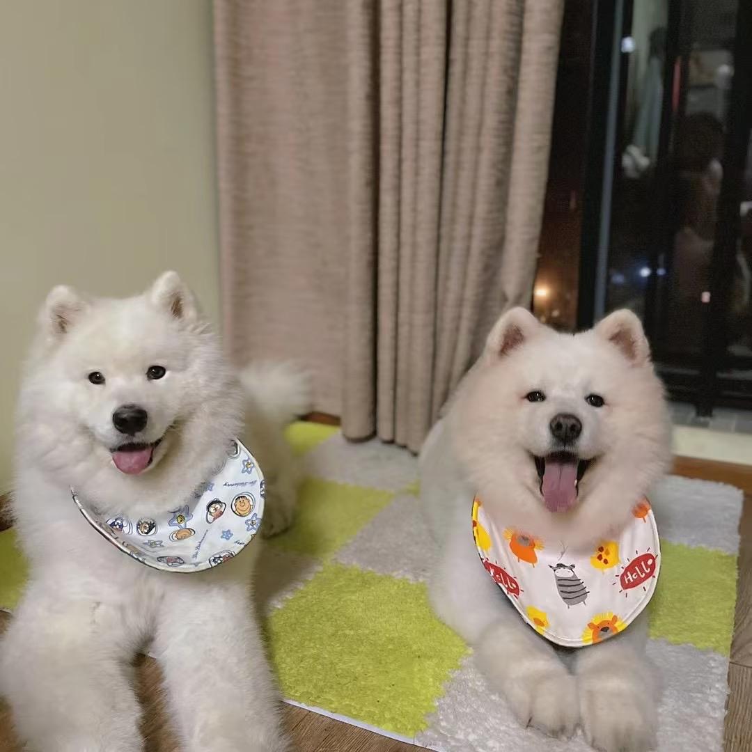 婕西And米奇