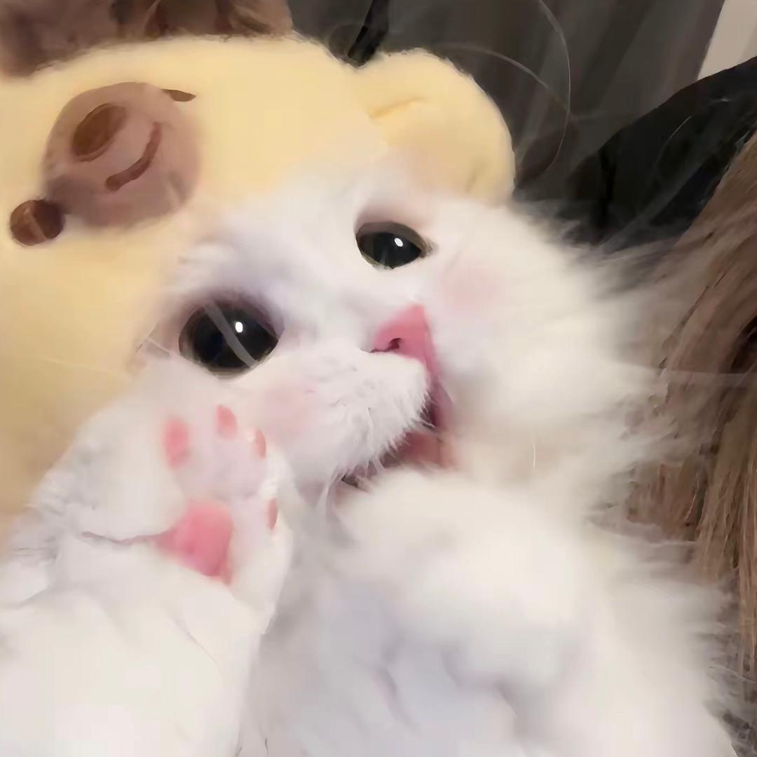 卡哇伊