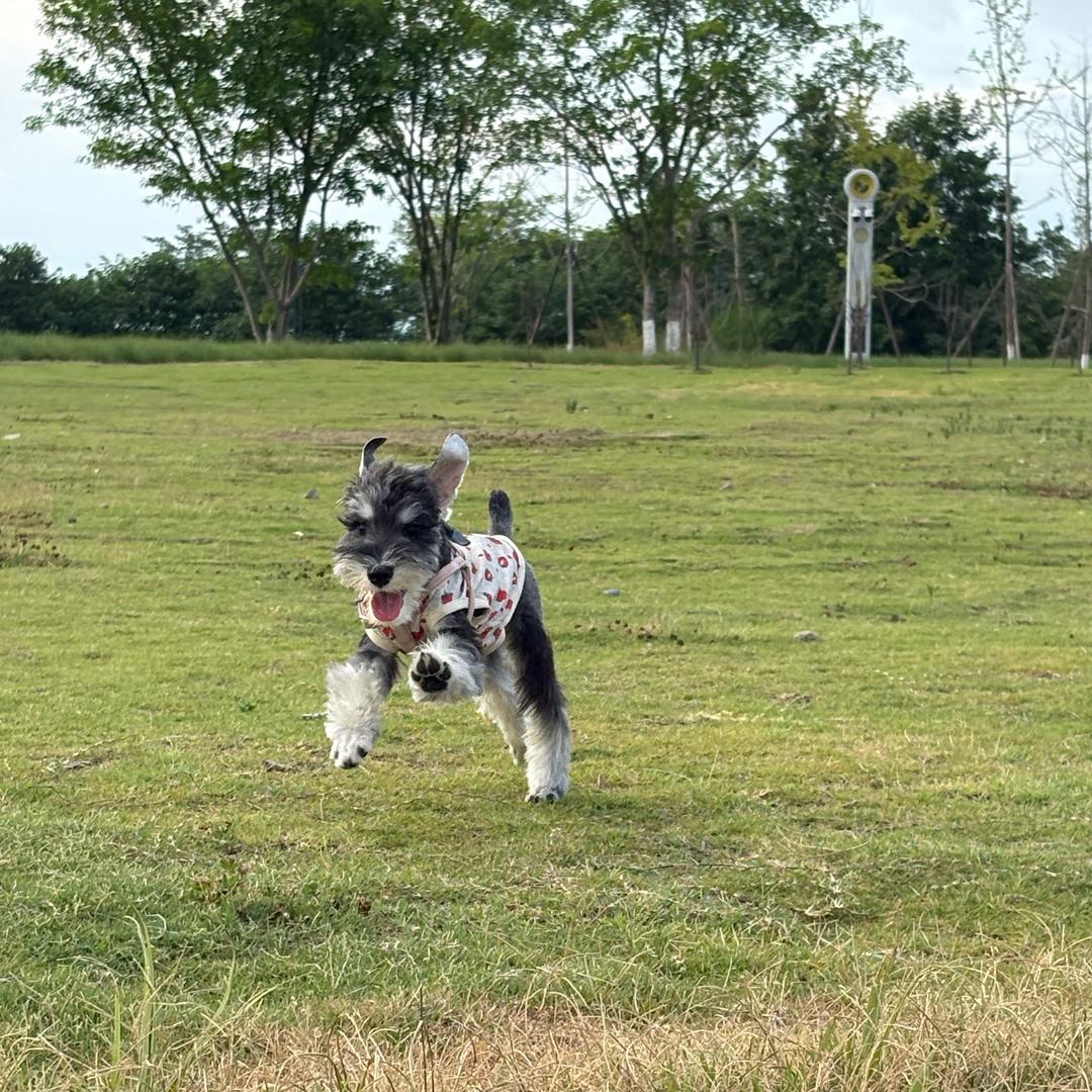 干饭冠军钱多多vlog