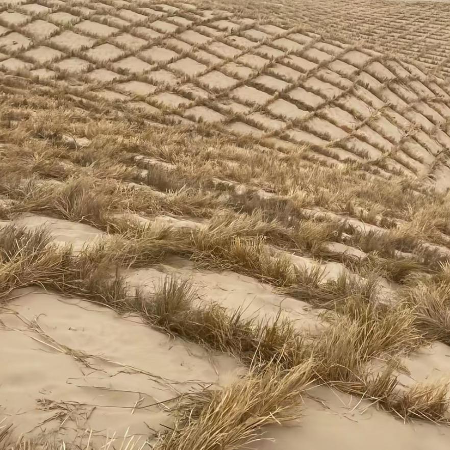 对接所有治沙工程⚠️