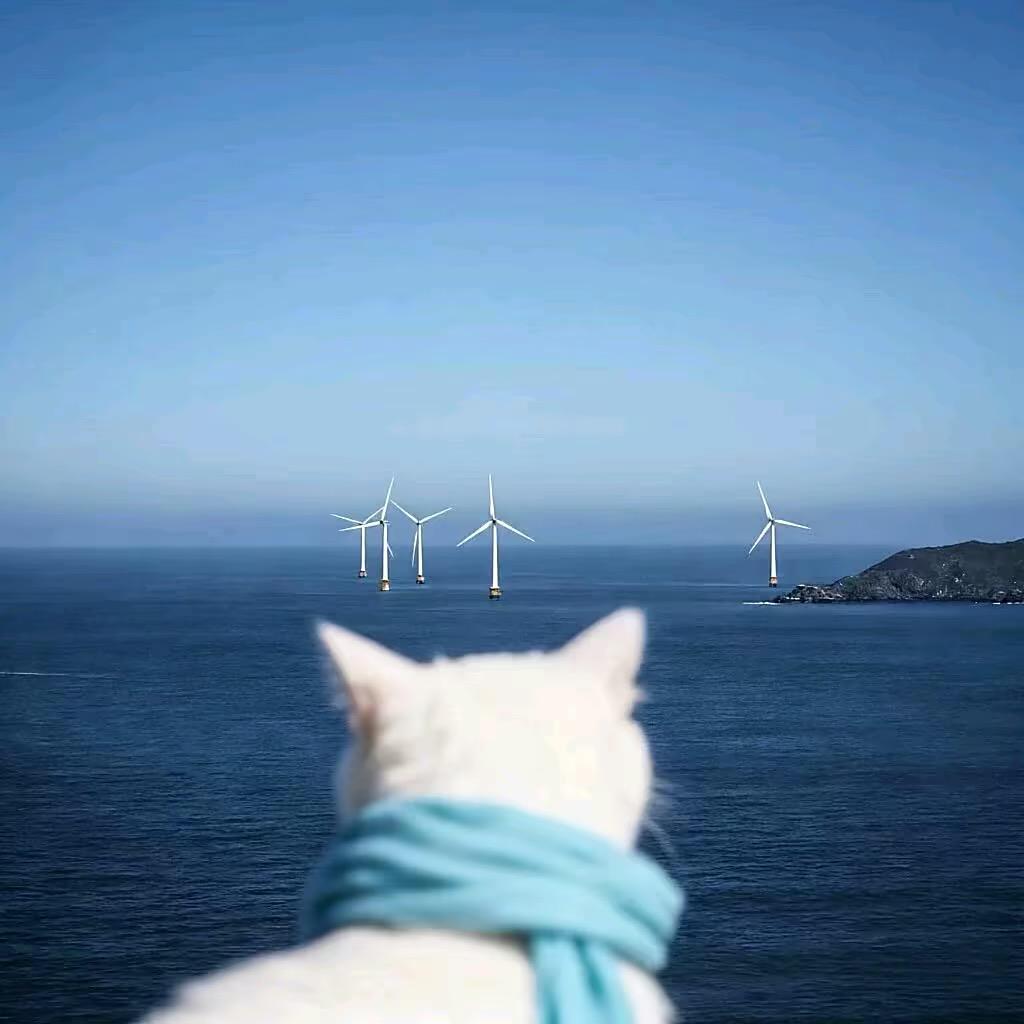 W..