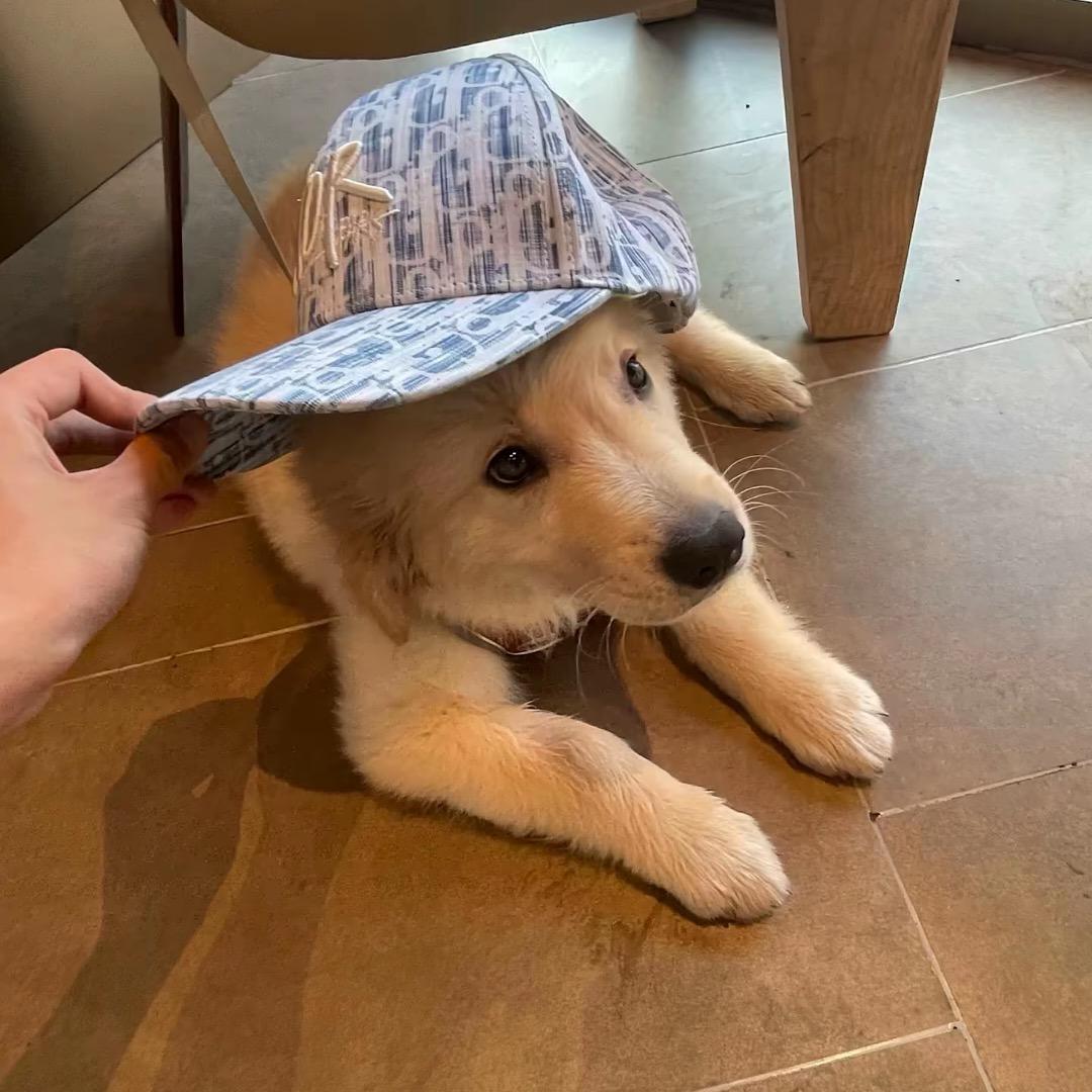 Bob