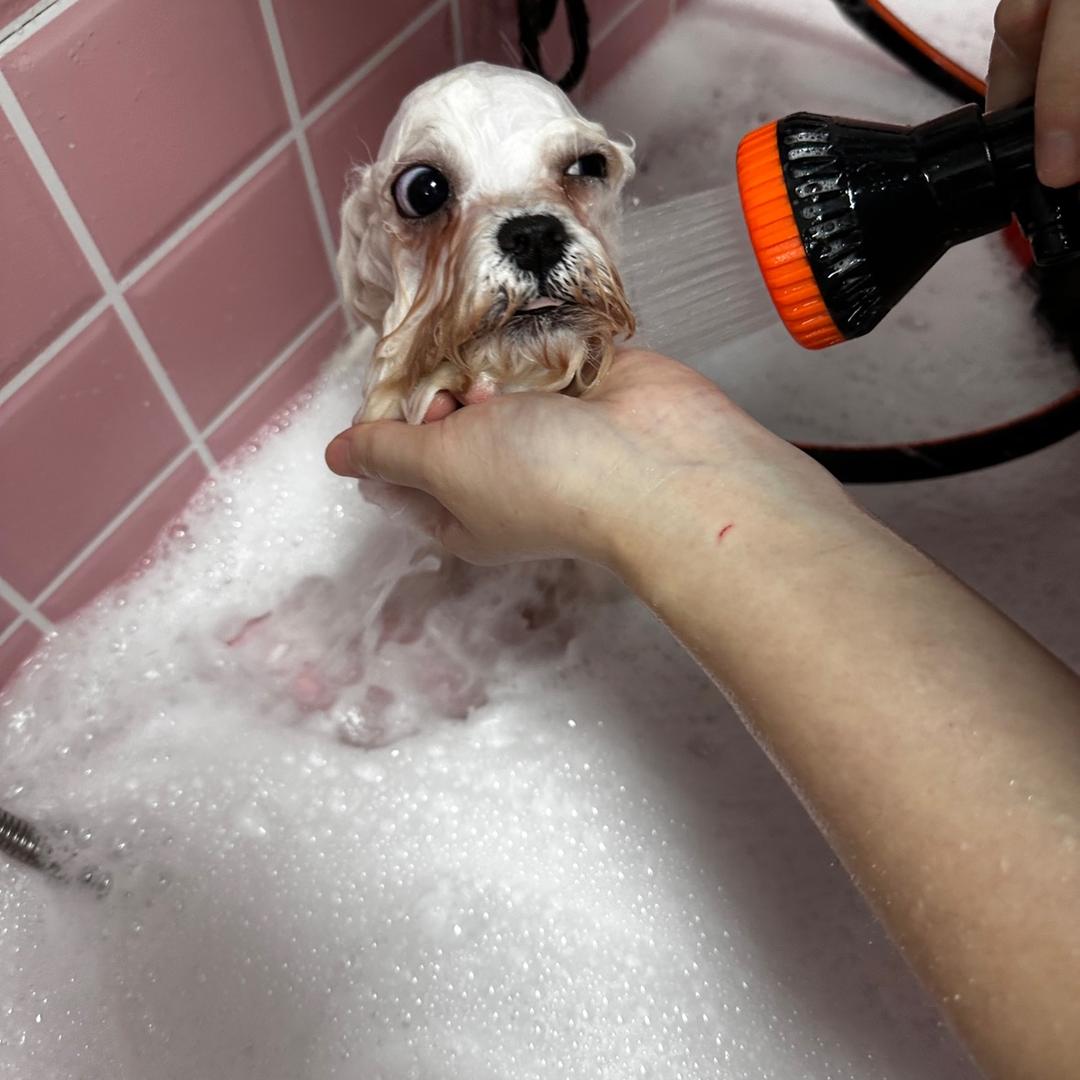 包总是我老板