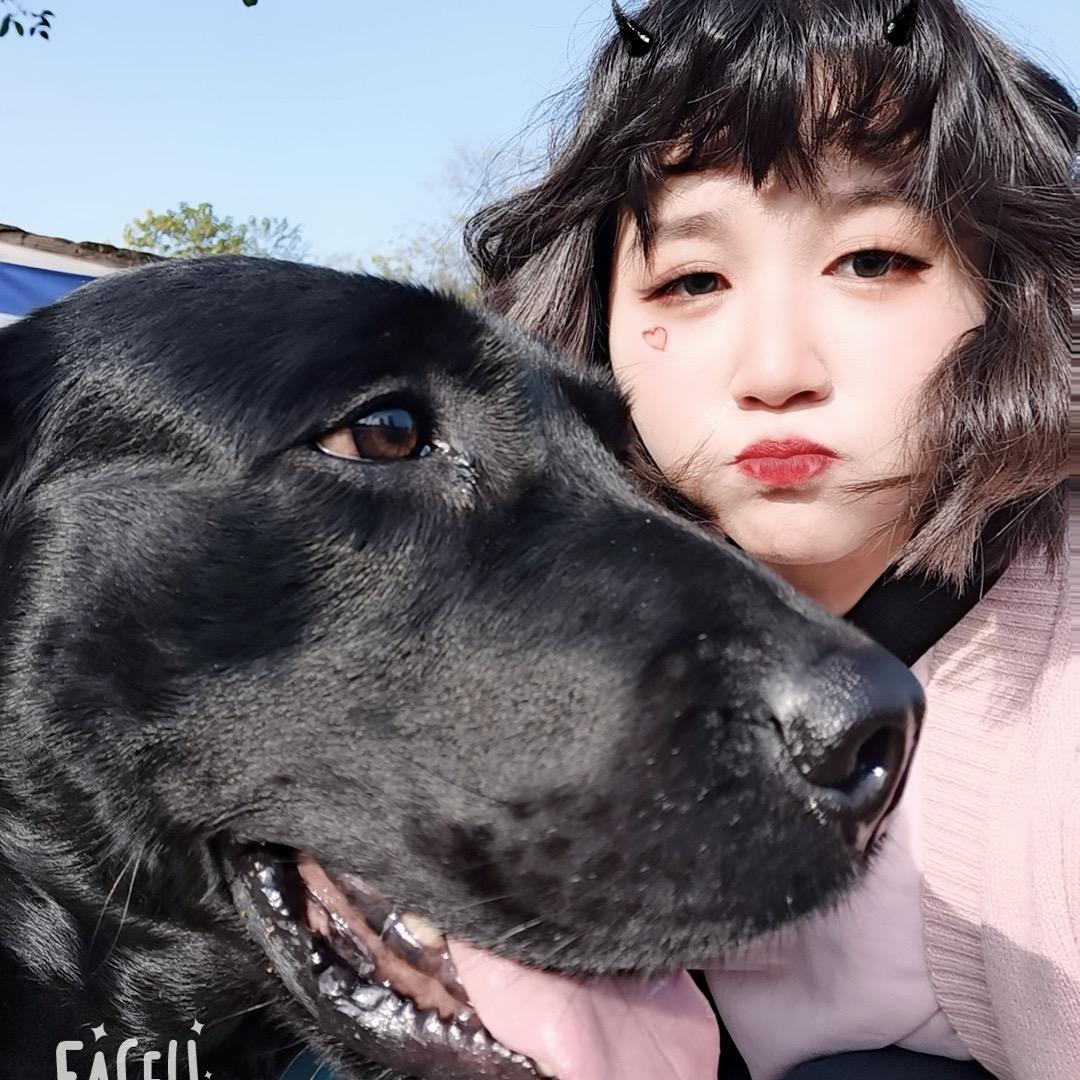 晨🐰爷