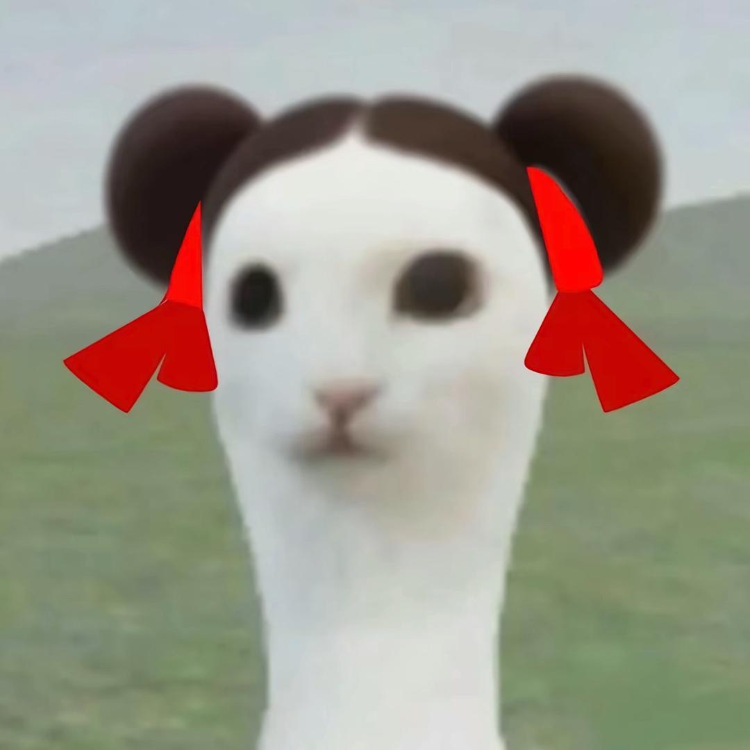 ¹¹/11.